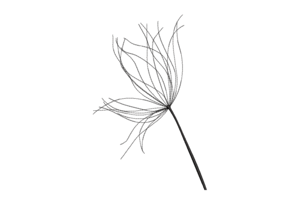 Dandelion Seed Head: A Designer's Review for Personalized Gifts